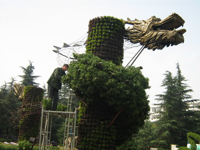 常德市2007金秋菊正加紧布展(图)