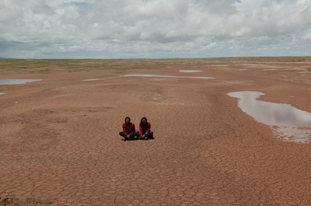 干旱,鼠患频袭,长江黄河源头地区环境正迅速恶