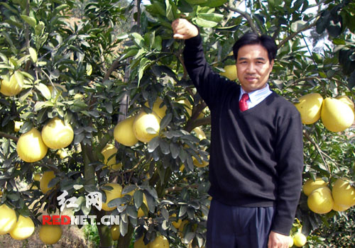 王运芳的“双峰农村科技合作社”模式被引起广泛关注