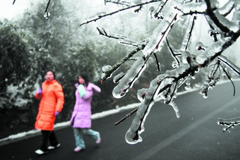 岳麓山上,冰冻的树枝变得晶莹剔透。徐晖铭 摄