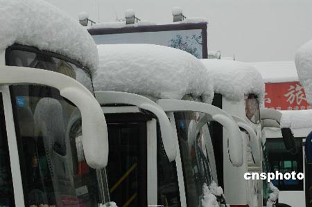 1月28日,积雪覆盖的常州红梅公园。截止当日下午,江苏区域性降雪进入第三天,常州积雪已深达32厘米,为该市近24年来最大降雪。据天气预报,该市29日还将有小到中雪。中新社发 杨素平 摄