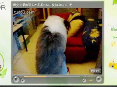 男子自拍大狗猥亵<em>幼女</em>视频