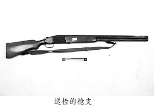 湖北仙桃涉黑案披露:小混混杀黑老大成名(图)