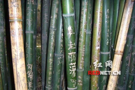 点此在新窗口浏览图片