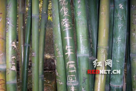 点此在新窗口浏览图片