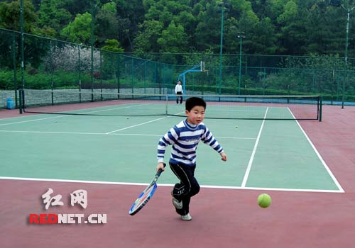 家庭自助游成清明小长假亮点 湖南中短途旅游