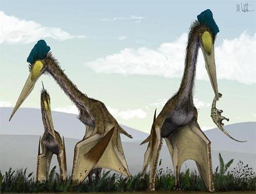 2.3亿年前巨型翼龙以霸王龙为食(组图)