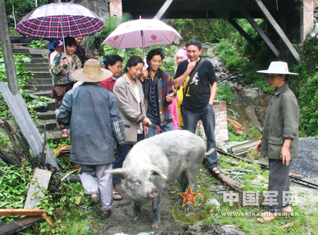 “朱坚强”被成都建川博物馆收养(组图)