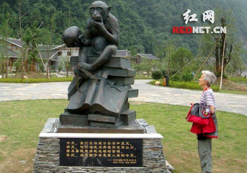 与猴子对话