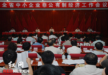 湖南省中小企业非公有制经济工作会议在长沙