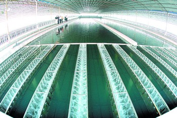 长沙拟立法实行阶梯水价 超计划用水加倍收费