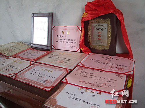 谭直政:带领村民共富的乡土人才科技特派员