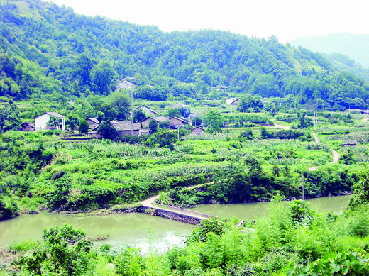 鹤山村终年阳光充沛,空气清新,宛如一个世外桃源。