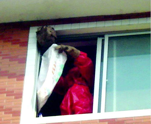 巨毒马蜂与人共居 5分钟拆除7楼炸弹(图)