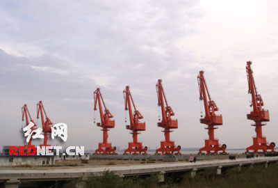 【红网记者看江苏】扬中80%的农民住别墅(图