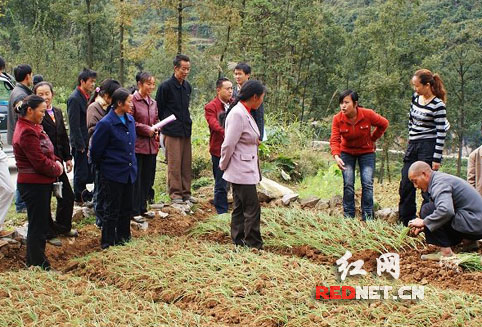 花垣县人口_花垣县