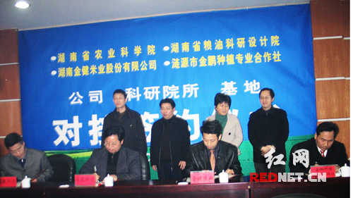 涟源市借力上市公司发展粮食产业(图)-湖南资讯