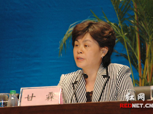 4月8日，湖南省副省长甘霖参加2009全省旅游产业发展工作会议