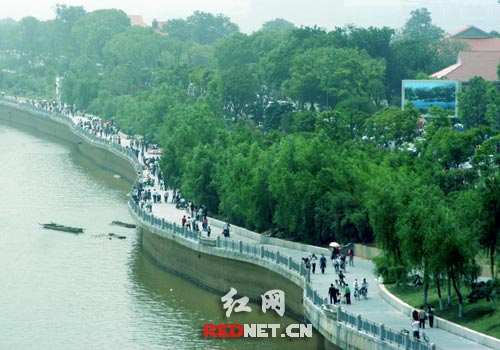 橘子洲图片