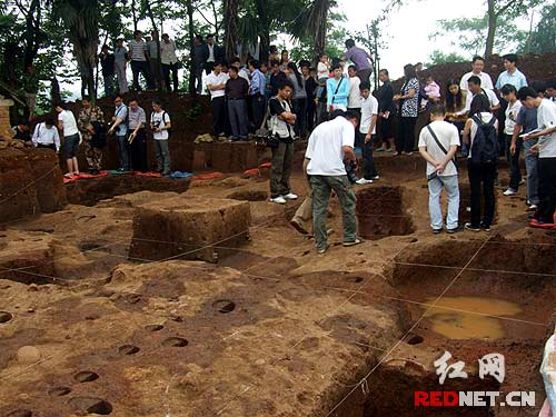 望子岗商周遗址的考古发掘，证实遗址地是湖南境内目前发现最早的古越人聚居地。