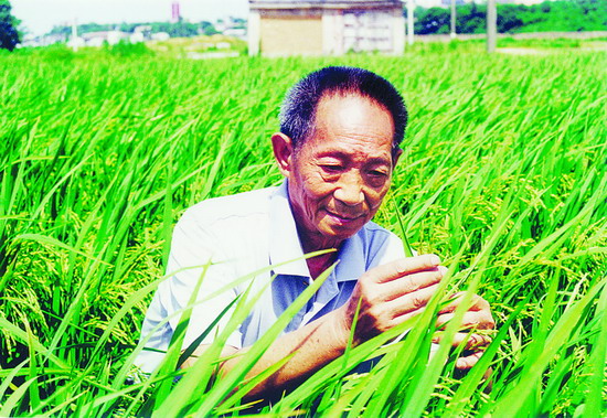 平凡中的伟大--电影《袁隆平》观感