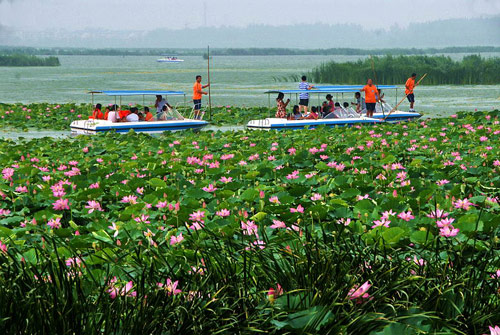 2009中国·淮阳龙湖赏荷旅游活动月隆重开幕