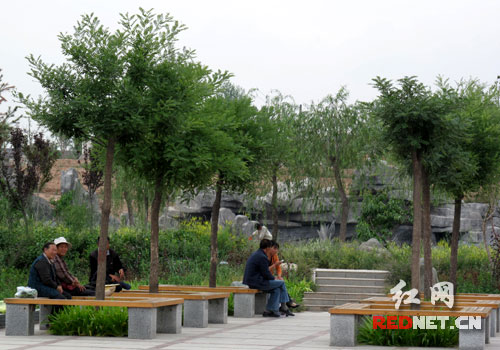 海东举行区情介绍会 <em>美女</em>部长<em>现场</em>唱花儿_中