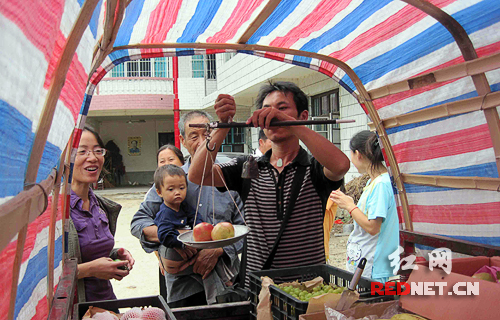 平江2000余小型货车为乡村送货上门受欢迎
