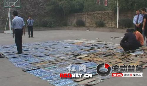 郴州交警收缴假车牌1120张 铺满半个篮球场