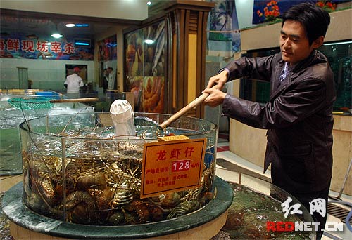 美食文化节邀请广大市民参与