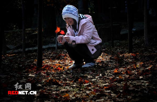 红网情趣_图片频道_枫红情趣什么作用v情趣棒有图片
