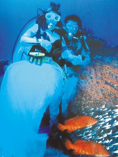 我们去海底结婚吧_罗曼婚礼策划顾问<em>梦梦</em>_新