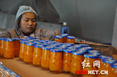 永州农产品、矿产品、水能等资源十分丰富，位于永州的湖南熙可食品股份有限公司的罐头已成功进入上海世博会。