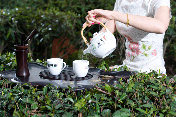 <em>美女茶艺</em>师品新茶