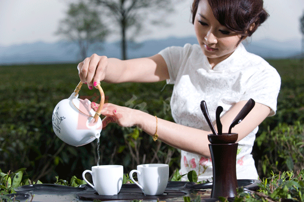 美女茶艺师品新茶