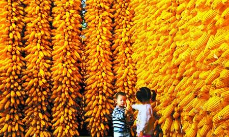 2010年河南省五项措施确保粮食丰产丰收