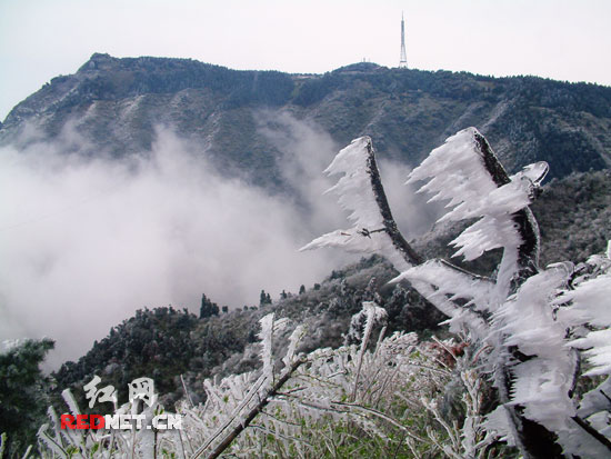 南岳衡山罕见的雾凇冰雪美景