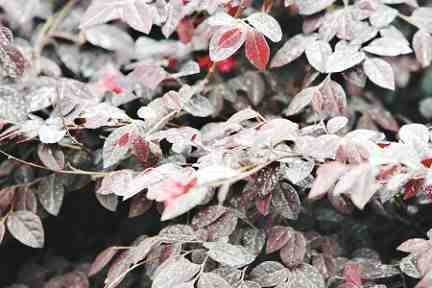 西安因沙尘暴下泥雨 专家称与酸雨无关(图)