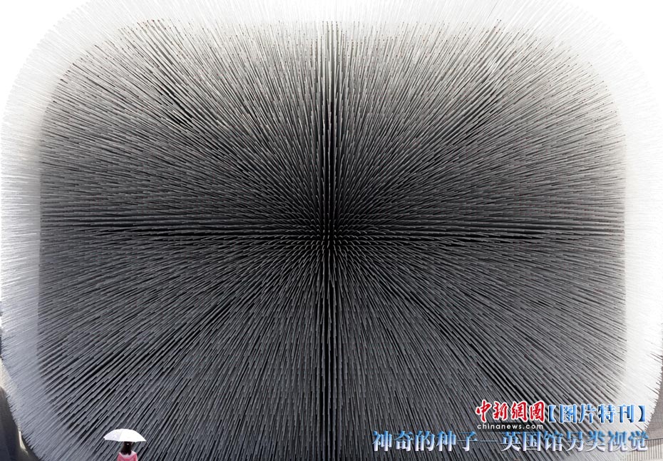 神奇的种子--英国馆另类视觉(组图)