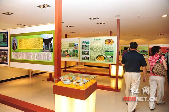 世界茶王李瑞河投资湖南 天福天美仕落户长沙