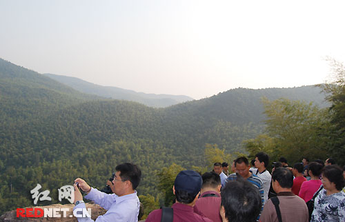 北京林业大学的副教授石玲站在宁乡凤凰山森林