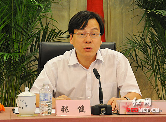 湖南省卫生厅厅长张健介绍行动情况