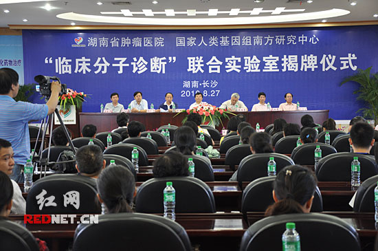 破解基因密码 癌症也可个性化攻克