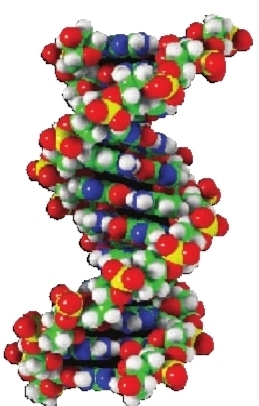 国家人类基因组南方研究中心联合实验室落户长