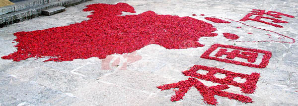 湘西龙山拼出35平方米红辣椒版\中国地图\(组图