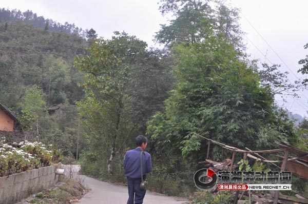 沈家驯下乡挂职日志:寻香草,游潇水源[图]