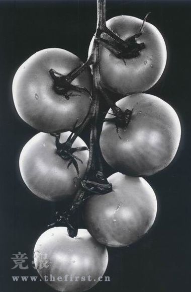 亚洲影帝周润发摄影作品掠影(图)