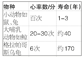 心跳向60看齐有助长寿 科学运动能放缓心跳