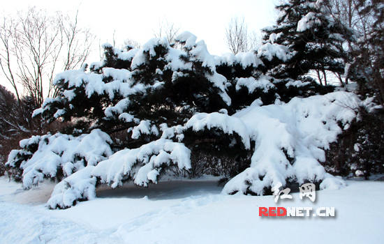 网媒记者走进世界最长地下暗河本溪水洞(组图