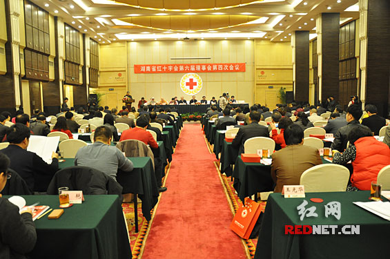 2010年湖南省红十字会接受救灾款物4753.88万